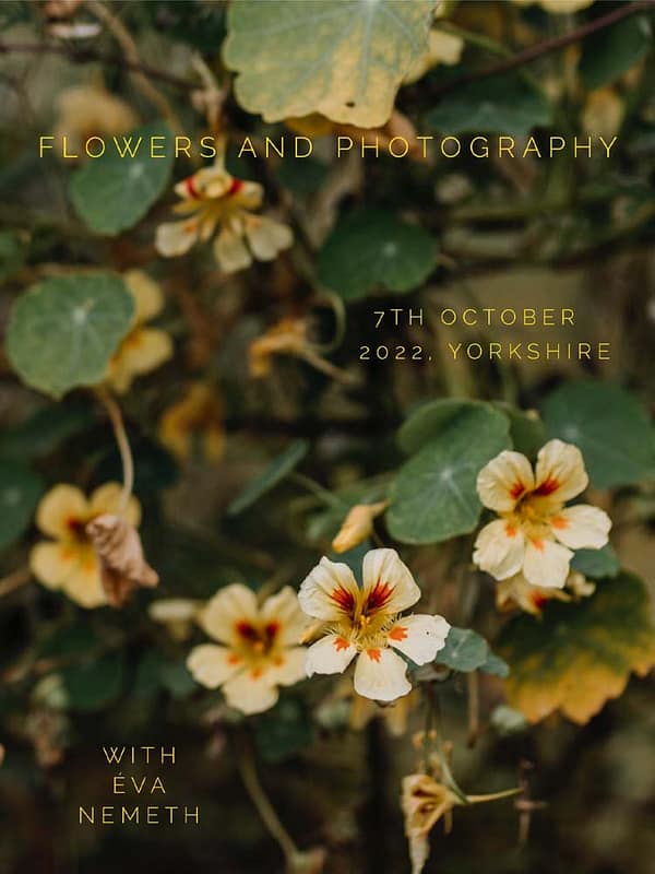 Flowers and Photography Autumn Eva Nemeth and Simply by Arrangement